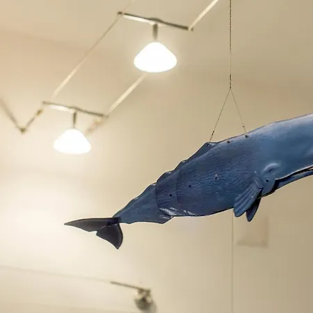 Estrela Do Atlantico בית הארחה