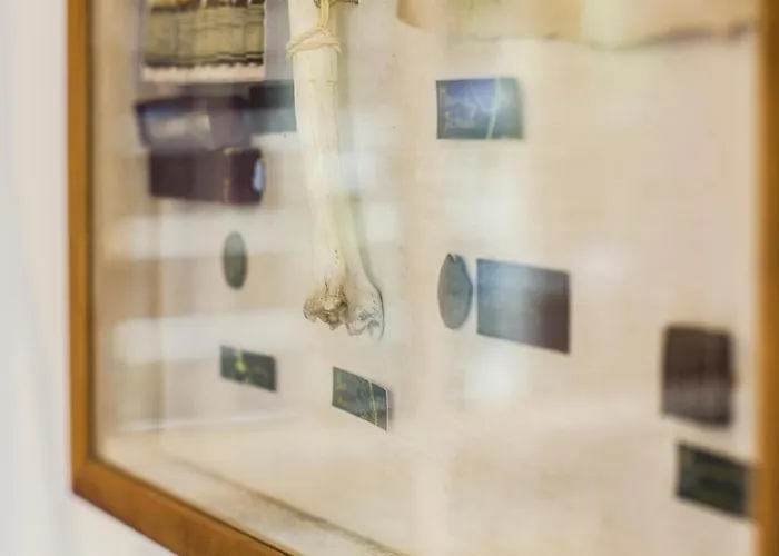 Estrela Do Atlântico 3*