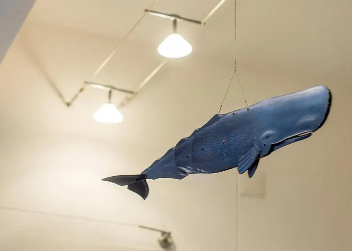 Estrela Do Atlântico Maison d'hôtes